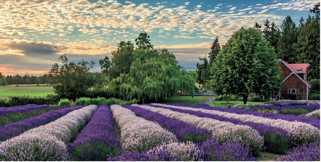 sequim - best city to retire in WA. 