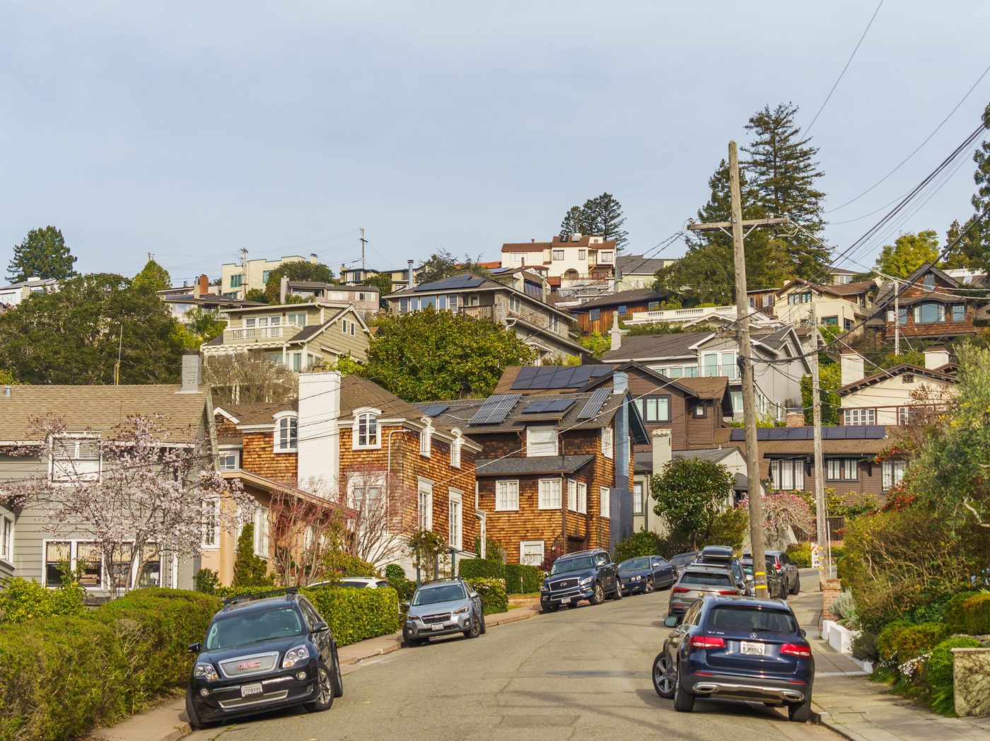 Things to Do in Bellevue, WA — A Neighborhood-by-Neighborhood Guide